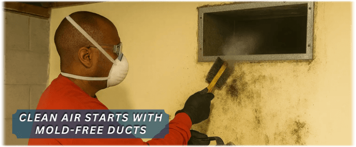 Air Duct Mold Removal in Worcester