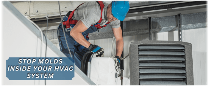 HVAC Mold Removal Worcester